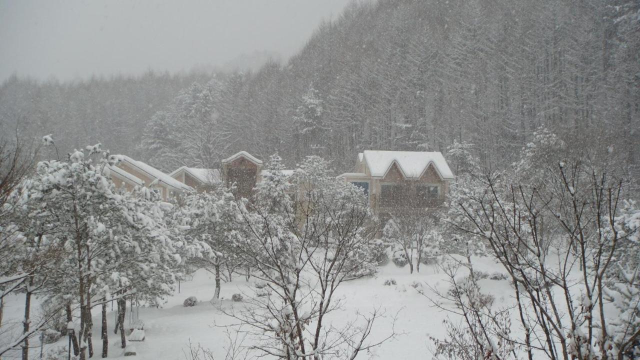 Shinevalley Pension & Hotel Pyeongchang Extérieur photo